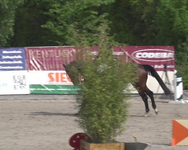 Reitturnier Monheim - Gut Blee 2023