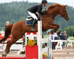 jumper Mb's Ragna (Finnish Warmblood, 2002, from Ragnus 100 FIN)