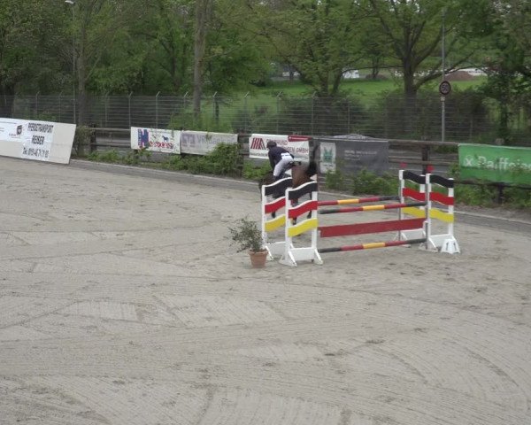 Reitturnier Monheim - Gut Blee 2023