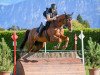 jumper Cape Town B (Irish Sport Horse, 2009, from Radolin)