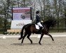 dressage horse Lacancio'n Cj (Rhinelander, 2011, from Lord Loxley I)