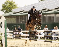 jumper Captain Coupie H (Hanoverian, 2011, from Catalido)