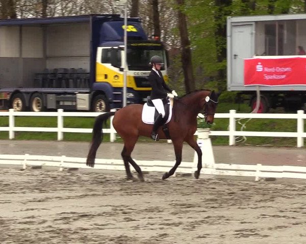 Reitturnier Dressurturnier Mildstedt 2023