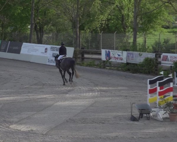 Reitturnier Monheim - Gut Blee 2023