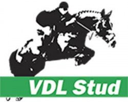 VDL Stud