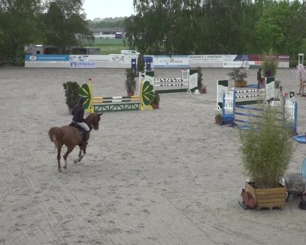 Reitturnier Monheim - Gut Blee 2023