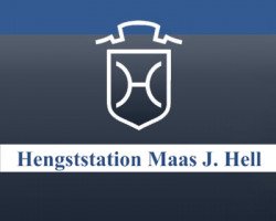 Maas J. Hell Stallion Stud GmbH
