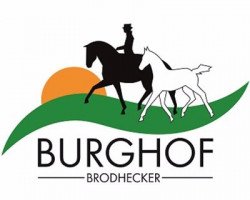 Hengststation Burghof Brodhecker
