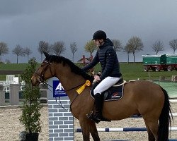 jumper Agataky (German Sport Horse, 2015, from Aga Khan Z)