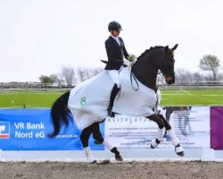 dressage horse Fedor 117 (Hanoverian, 2017, from Fürst Wilhelm)