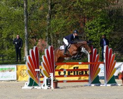 jumper Quing Louie von der Mittelerde (Oldenburg show jumper, 2018, from Querlybet Hero)