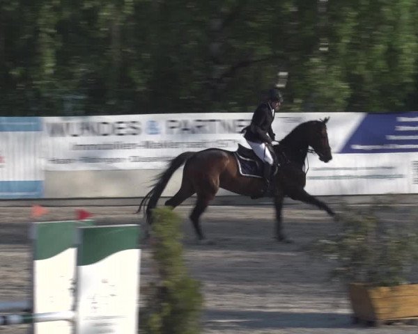Reitturnier Monheim - Gut Blee 2023