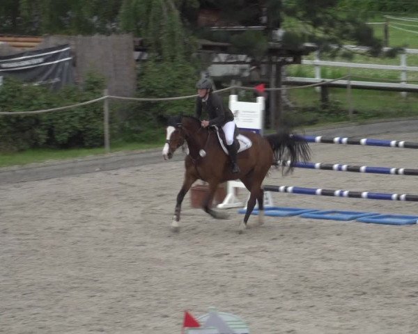 Reitturnier Monheim - Gut Blee 2023
