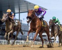 horse Promiseher America xx (Thoroughbred, 2020, from American Pharoah xx)