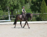 dressage horse Alicia 55 (German Riding Pony, 2008)