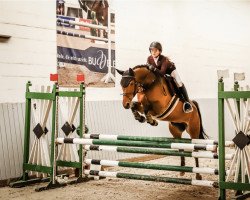 jumper Gumercinda (German Riding Pony, 2015, from Mas Que Nada 4)