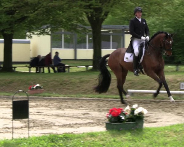 Reitturnier Dinslaken-Hiesfeld 2023