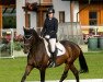 dressage horse Sierra Tequila Gold (German Warmblood, 2018)