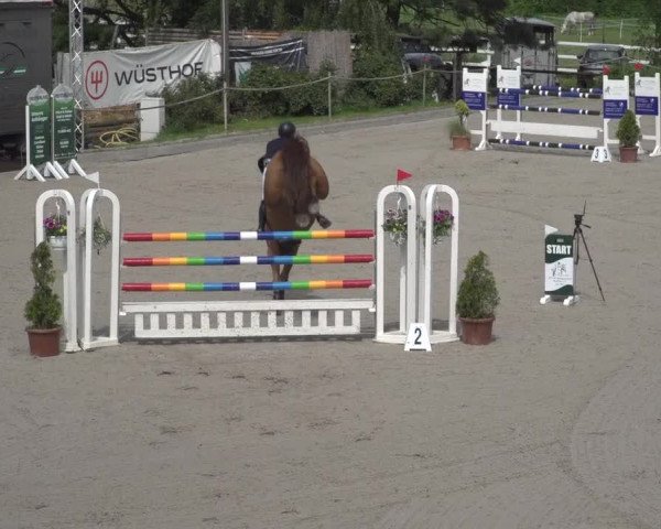 Reitturnier Monheim - Gut Blee 2023