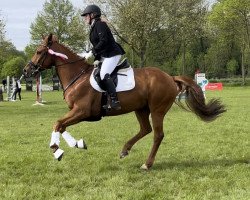 jumper Jubalia (KWPN (Royal Dutch Sporthorse), 2014, from Entertainer)