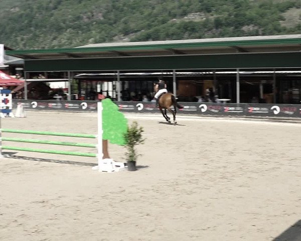 Reitturnier Giubiasco 2023