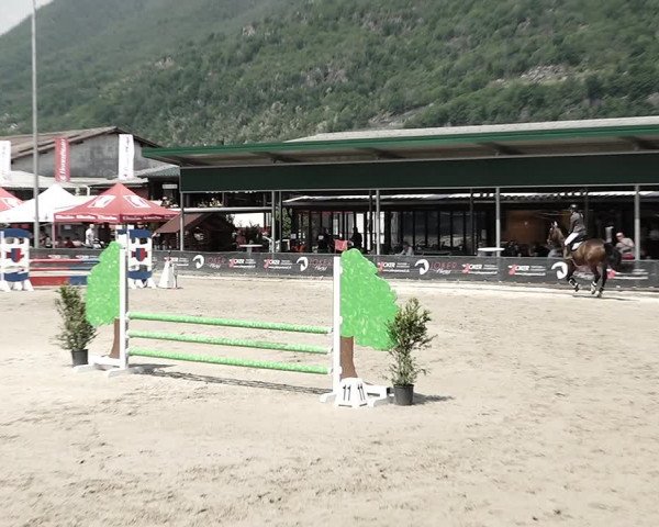 Reitturnier Giubiasco 2023