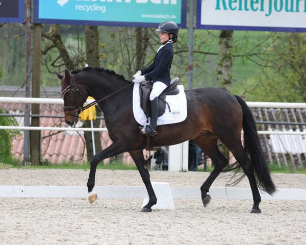 broodmare Feine Maus 3 (German Sport Horse, 2015, from Fürstenball)