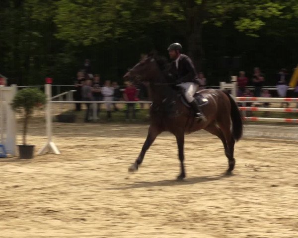 Reitturnier Dinslaken-Hiesfeld 2023