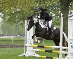 dressage horse Soraya 330 (unknown, 2010)