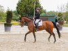 dressage horse Brasil de Luxe (Westphalian, 2013, from Bretton Woods)