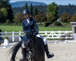 dressage horse Kaja III CH (Swiss Warmblood, 2007, from Samarant)