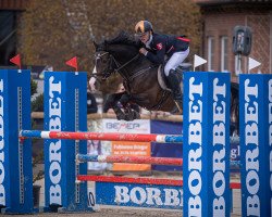 stallion Big Bamboo Zv WE (German Riding Pony, 2016, from Best Boy)