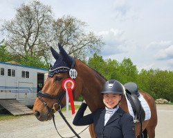 dressage horse Scolari's Sugarbabe (Hanoverian, 2018, from Scolari)