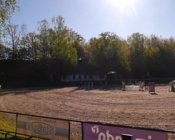 Reitturnier Lgl.-Oberhain, B95 2023