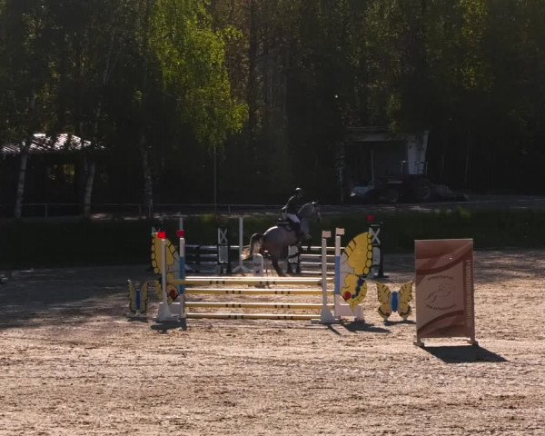 Reitturnier Lgl.-Oberhain, B95 2023