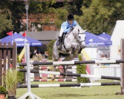 Springpferd Champina 4 (Deutsches Reitpony, 2008, von Champino)