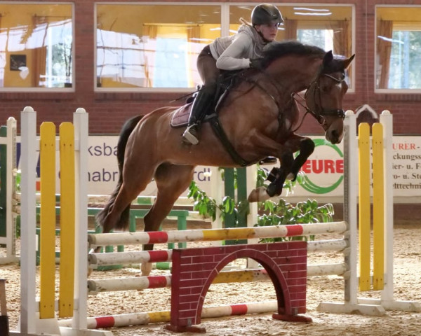 broodmare Princess 394 (Oldenburg show jumper, 2016, from Cascadello)