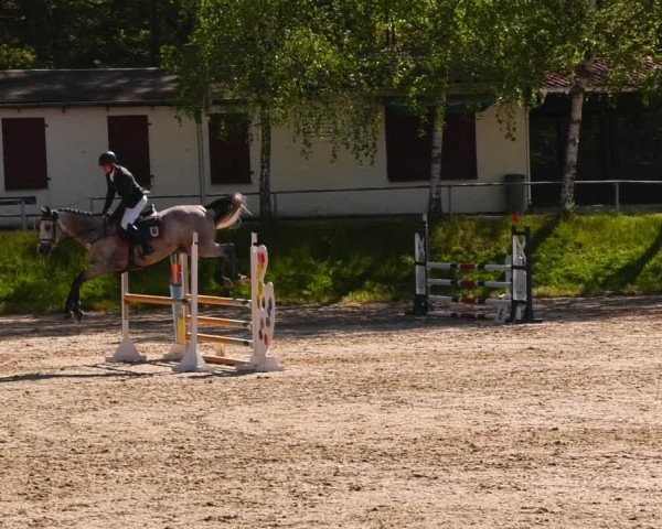 Reitturnier Lgl.-Oberhain, B95 2023