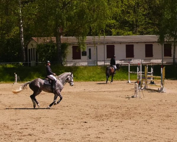 Reitturnier Lgl.-Oberhain, B95 2023