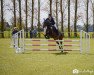 jumper El Chico 70 (German Riding Pony, 2009, from El Kayr)