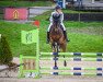 jumper Lucy Glasgow (German Sport Horse, 2017, from Glasgow van het Merelsnest)