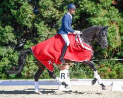 dressage horse Amica Grande KWG CH (Swiss Warmblood, 2016, from Morricone)