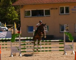 jumper Quality Lady (Hanoverian, 2018, from Qualito)