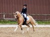 dressage horse Knaller 3 (German Riding Pony, 2007, from Frankenhoeh's Kir Royal)