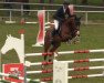 jumper Quincy 253 (Hanoverian, 2018, from Qualito)