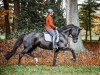 dressage horse Loxana 5 (Oldenburg, 2011, from Lord Loxley I)