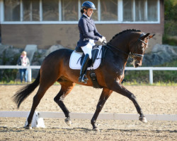 dressage horse Floresco Sil (Finnish Warmblood, 2007, from Florestan I)