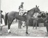 broodmare Siama xx (Thoroughbred, 1947, from Tiger xx)