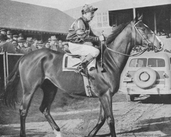 stallion Olympia xx (Thoroughbred, 1946, from Heliopolis xx)