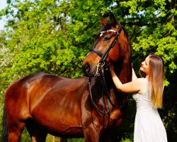 dressage horse Daily Dream 14 (Oldenburg, 2014, from Daily Deal)